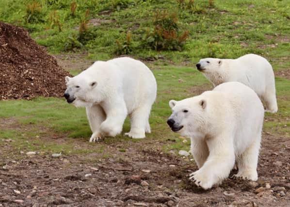 Chic 2 Bed Peak District Cottage Barn Near Alton Towers, Polar Bears, Chatsworth House Leek Kültér fotó