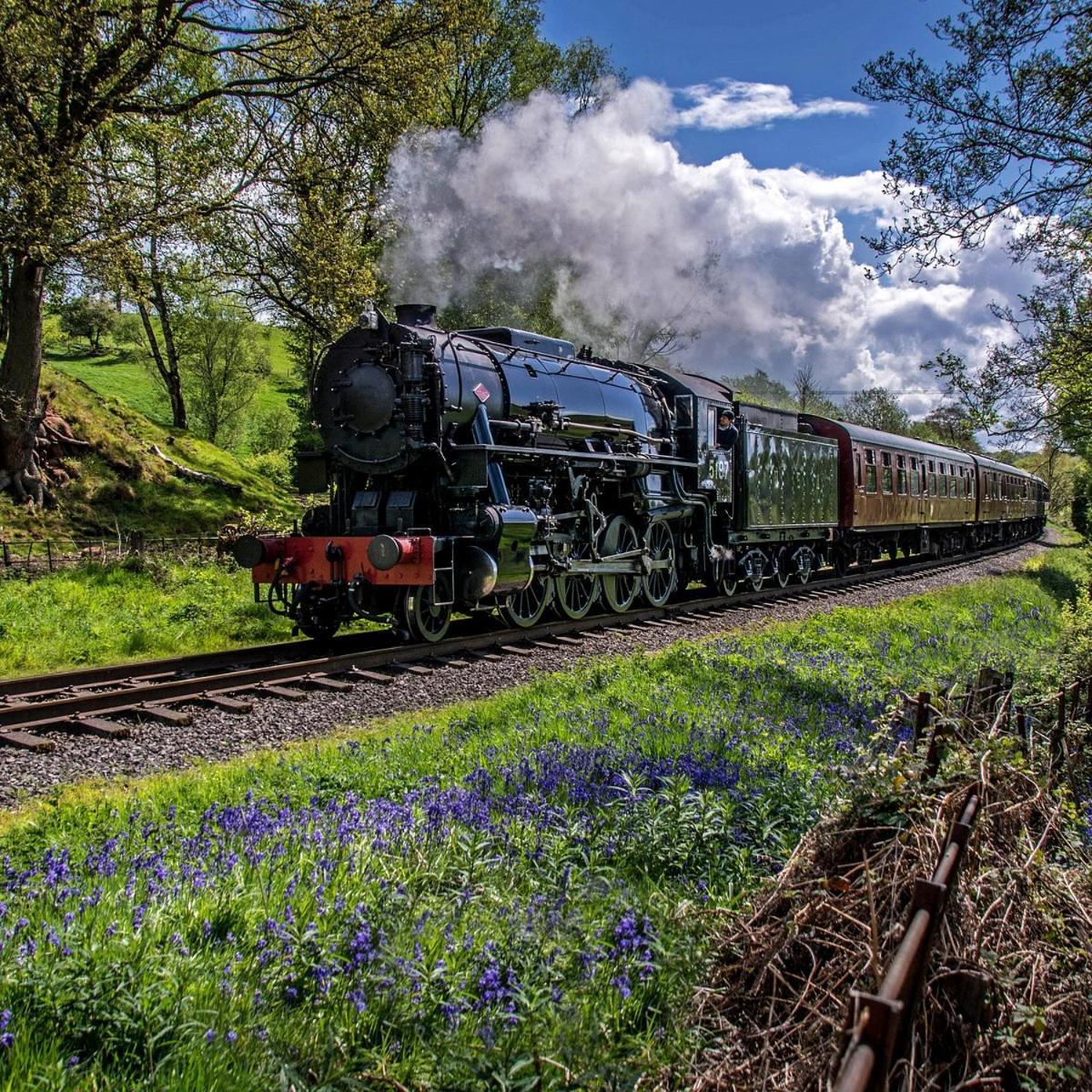 Chic 2 Bed Peak District Cottage Barn Near Alton Towers, Polar Bears, Chatsworth House Leek Kültér fotó